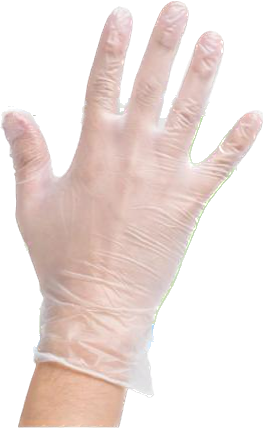 Vinyl Gloves Powder Free - X-Large Image